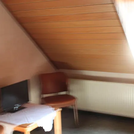 Landgasthof Wiesenmuehle 3* Hohenstein