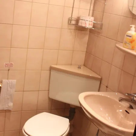 Landgasthof Wiesenmuehle 3* Hohenstein