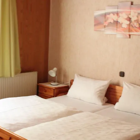 Gæstehus Landgasthof Wiesenmuehle Hohenstein