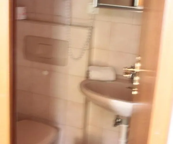 Landgasthof Wiesenmuehle Guest house Hohenstein