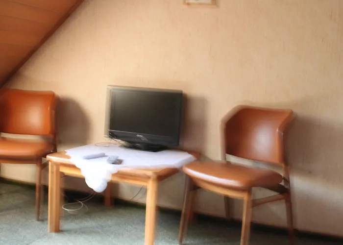 Guest house Landgasthof Wiesenmuehle Hohenstein