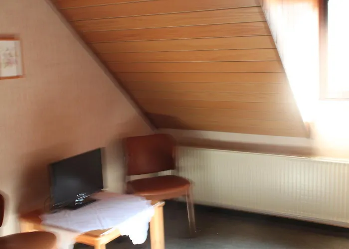 Landgasthof Wiesenmuehle 3* Hohenstein