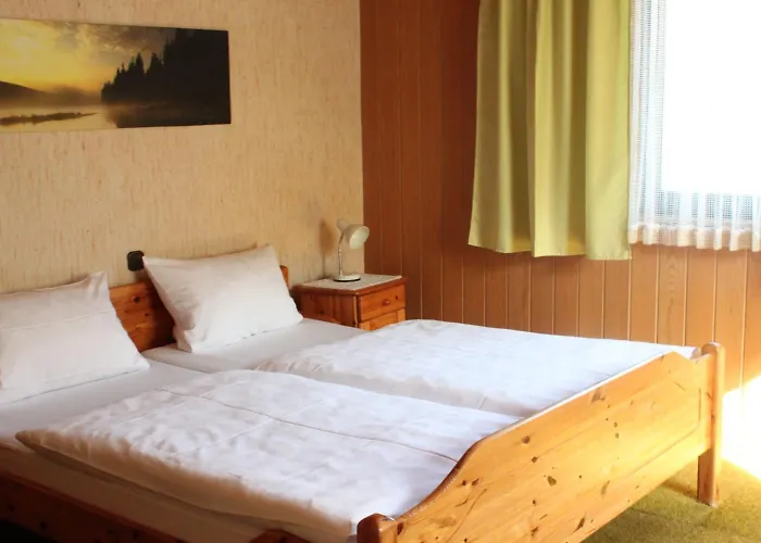 Landgasthof Wiesenmuehle Guest house 3*