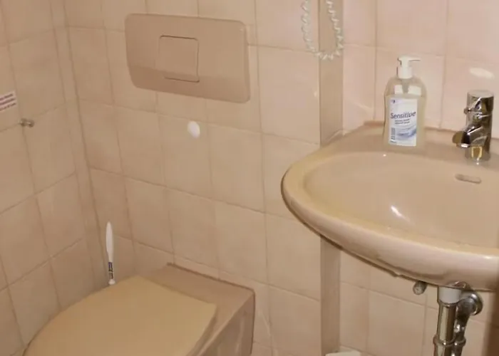 Landgasthof Wiesenmuehle Guest house 3*